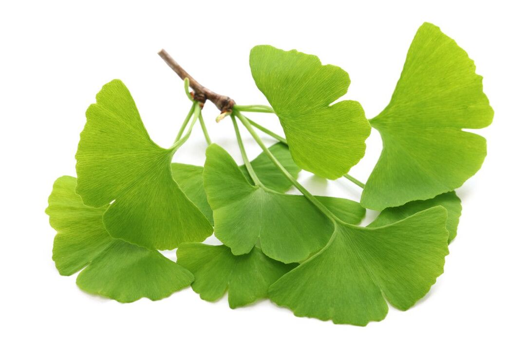 ginko biloba in druppels Alcozar